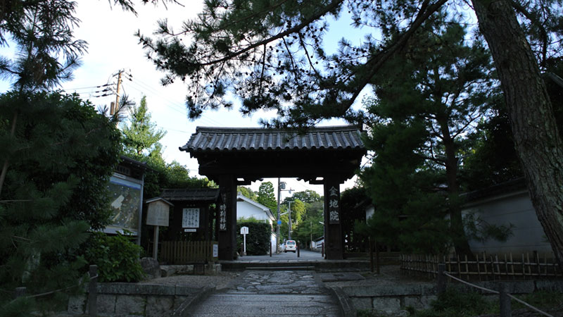 20120821-4.jpg